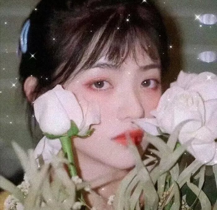 雨果的冒险